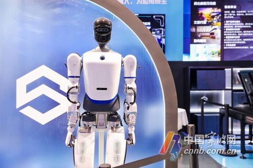 机器人生活秀 数量超60款，数贸会展现科技专业新图景